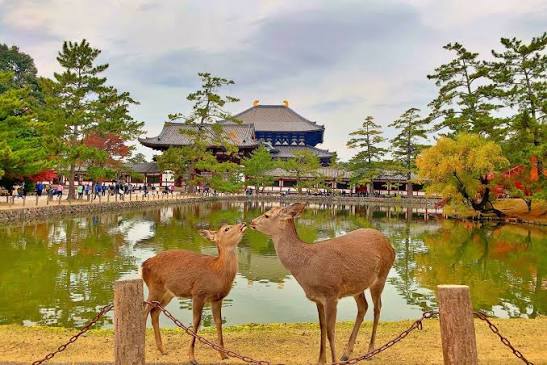 Japan Golden Route