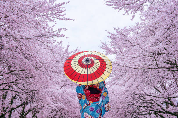 Japan Cherry Blossom Tour 2027